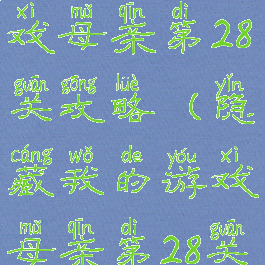 隐藏我的游戏母亲第28关攻略(隐藏我的游戏母亲第28关攻略视频)