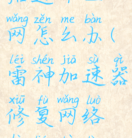 雷神加速器修复网络后连不上网怎么办(雷神加速器修复网络后连不上网怎么办呢)