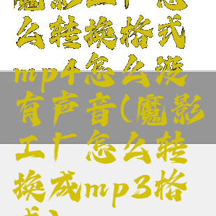 魔影工厂怎么转换格式mp4怎么没有声音(魔影工厂怎么转换成mp3格式)
