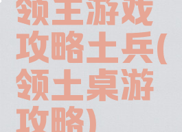 领主游戏攻略土兵(领土桌游攻略)
