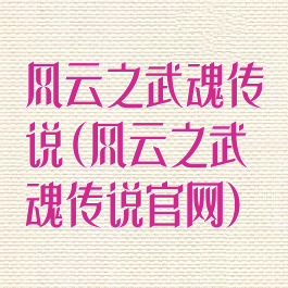 风云之武魂传说(风云之武魂传说官网)