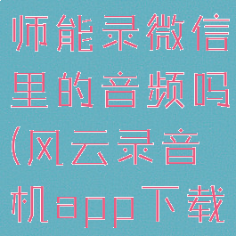 风云录音大师能录微信里的音频吗(风云录音机app下载)
