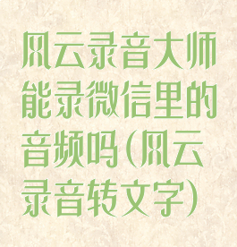风云录音大师能录微信里的音频吗(风云录音转文字)