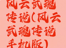 风云武魂传说(风云武魂传说手机版)