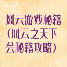 风云游戏秘籍(风云之天下会秘籍攻略)