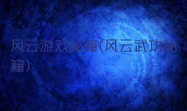 风云游戏秘籍(风云武功秘籍)