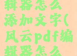 风云pdf编辑器怎么添加文字(风云pdf编辑器怎么添加文字)