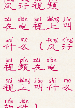 风行视频在电视上叫什么(风行视频在电视上叫什么软件)