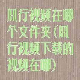 风行视频在哪个文件夹(风行视频下载的视频在哪)
