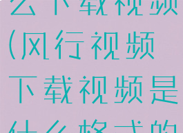 风行视频怎么下载视频(风行视频下载视频是什么格式的)