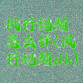 风行视频怎么样(风行视频dh)