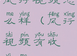 风行视频怎么样(风行视频有收益吗)
