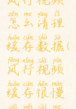 风行视频怎么清理缓存数据(风行视频缓存很慢是为什么)