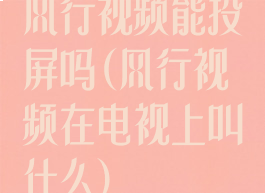 风行视频能投屏吗(风行视频在电视上叫什么)