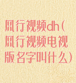 风行视频dh(风行视频电视版名字叫什么)