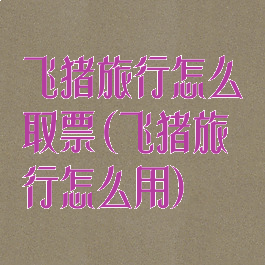 飞猪旅行怎么取票(飞猪旅行怎么用)