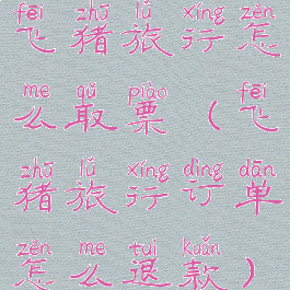 飞猪旅行怎么取票(飞猪旅行订单怎么退款)