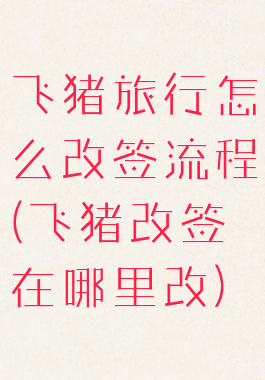 飞猪旅行怎么改签流程(飞猪改签在哪里改)