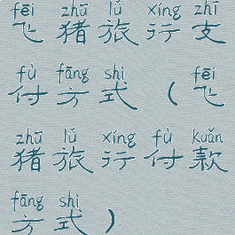 飞猪旅行支付方式(飞猪旅行付款方式)