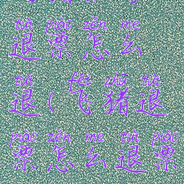 飞猪旅行退票怎么退(飞猪退票怎么退票)