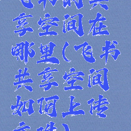 飞书的共享空间在哪里(飞书共享空间如何上传文件)