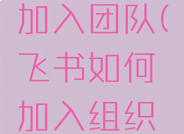 飞书如何加入团队(飞书如何加入组织架构)