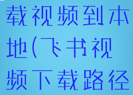 飞书怎么下载视频到本地(飞书视频下载路径)