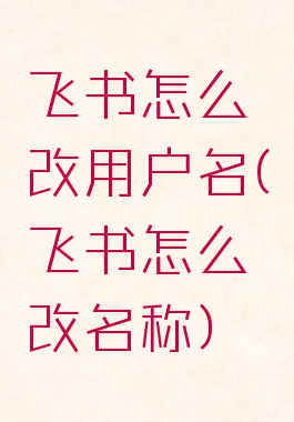 飞书怎么改用户名(飞书怎么改名称)