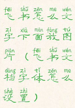 飞书怎么文字下面放图片(飞书文档字体怎么设置)