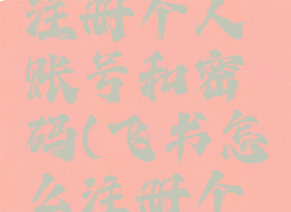 飞书怎么注册个人账号和密码(飞书怎么注册个人版)