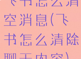 飞书怎么清空消息(飞书怎么清除聊天内容)