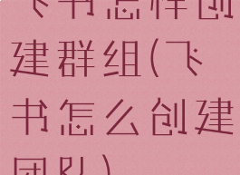 飞书怎样创建群组(飞书怎么创建团队)