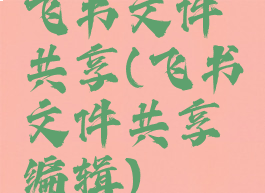 飞书文件共享(飞书文件共享编辑)