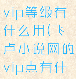 飞卢小说网vip等级有什么用(飞卢小说网的vip点有什么用)