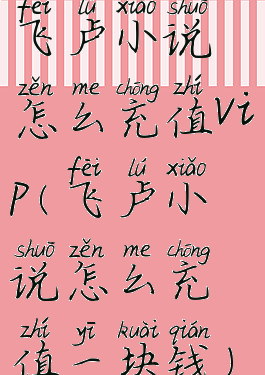 飞卢小说怎么充值vip(飞卢小说怎么充值一块钱)