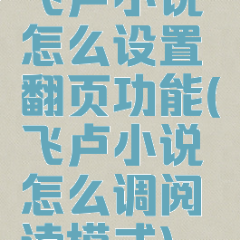 飞卢小说怎么设置翻页功能(飞卢小说怎么调阅读模式)