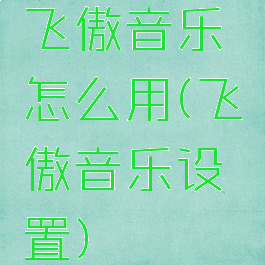 飞傲音乐怎么用(飞傲音乐设置)