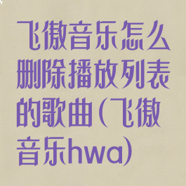 飞傲音乐怎么删除播放列表的歌曲(飞傲音乐hwa)