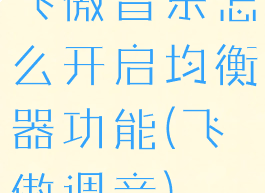 飞傲音乐怎么开启均衡器功能(飞傲调音)