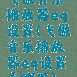 飞傲音乐播放器eq设置(飞傲音乐播放器eq设置在哪里)