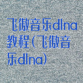 飞傲音乐dlna教程(飞傲音乐dlna)