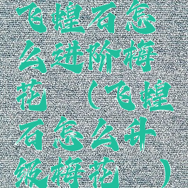 飞蝗石怎么进阶梅花镖(飞蝗石怎么升级梅花镖)