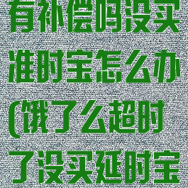 饿了么超时了有补偿吗没买准时宝怎么办(饿了么超时了没买延时宝怎么办)