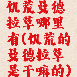 饥荒曼德拉草哪里有(饥荒的曼德拉草是干嘛的)