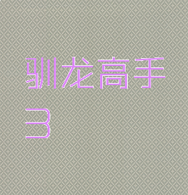 驯龙高手3