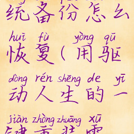 驱动人生一键重装系统备份怎么恢复(用驱动人生的一键重装需要备份什么)