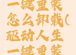 驱动人生一键重装怎么卸载(驱动人生一键重装怎么用)