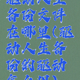 驱动人生备份文件在哪里(驱动人生备份的驱动怎么用)