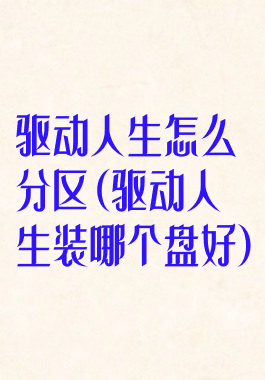 驱动人生怎么分区(驱动人生装哪个盘好)