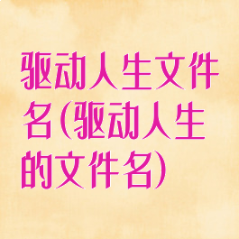 驱动人生文件名(驱动人生的文件名)